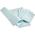 Medline Industries, Inc Paper Towels, 2 Ply, Blue NON24356B